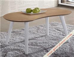 NOAH (COFFEE TABLE)